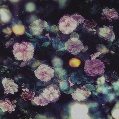 Caitlin Sandoz