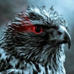 شارة بابار فيل _ طارق العربي طرقان ( 256kbps cbr ).mp3