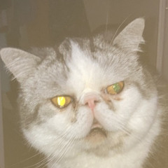 Fugly
