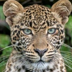 Musundi Muyerah Nathan