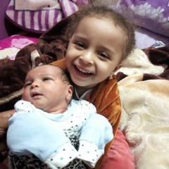 محمود ابوسجدة