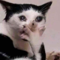 Hà Hà