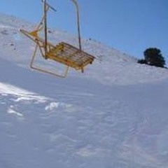 Setare