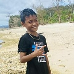 Desly M Louis