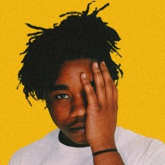PDG ZIGGY