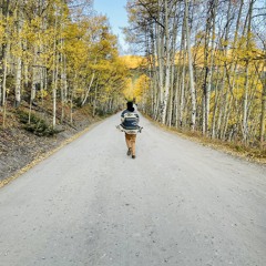 ABeautifulLife