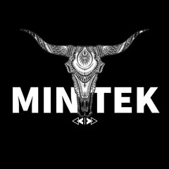 MINTEK