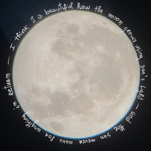 Natural Sound - The blackbird (week sound 2)