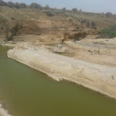 Gueream ABDELDJALIL