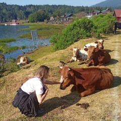 Александра Сибиковская