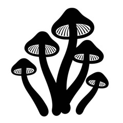 159- Lf