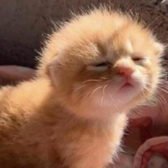 ก็คนมันหล่ออะน้องๆ