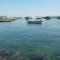شيماء أبو العلا