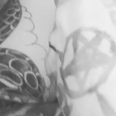 Scails