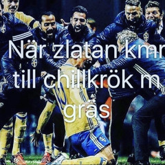 zlatan bror