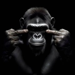 Be Pro Mono