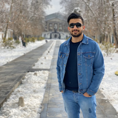 Ali Safaie