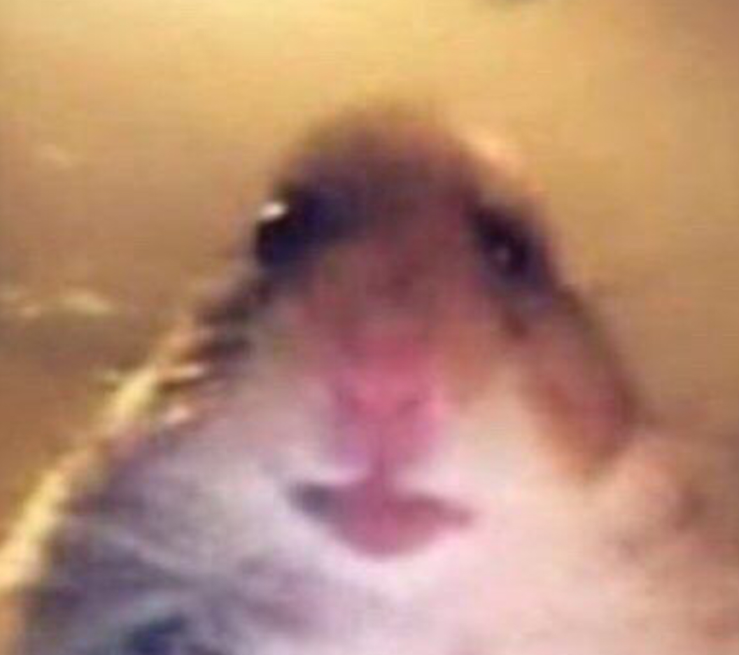 capybara