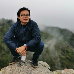 Robertiki