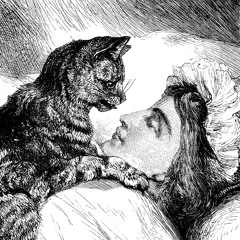 ଘ(੭*ˊᵕˋ)੭* ੈ♡‧₊˚♫