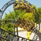 themepark mashups