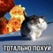 ТОЛЯН