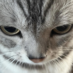 me