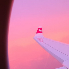 SwissMiss