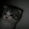 AndyRey