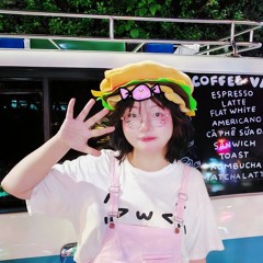 Mèo con đi lạc