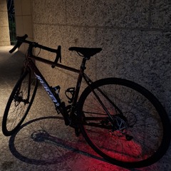 전손달려