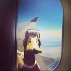 ハセガワ マサトシ