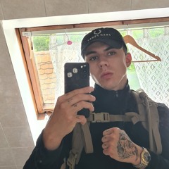 Franc Tireur Français