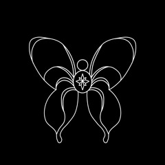 butterfliesandspiders