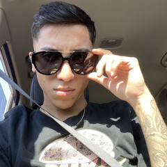 Andrés F. A. Araya Reyes