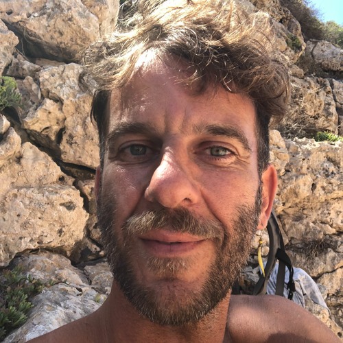 Dominik Tschense’s avatar