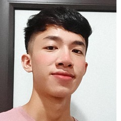 V.SL.IM98