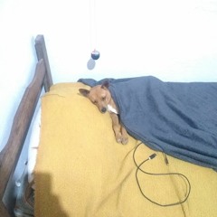 Josimar sidrao Sidrao