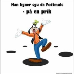 mikkel fink