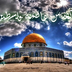Ali M Quneibi