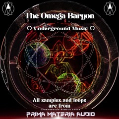 The Omega Baryon - Baryon