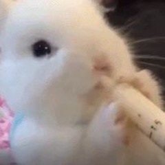 Lilu