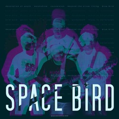 Space Bird