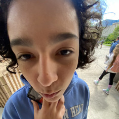 lil_zpark