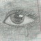 teery.w