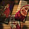 Shahd Reda
