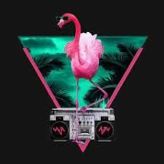 dj_flamingo