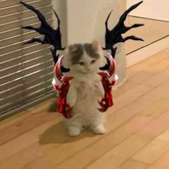 Самый лучший