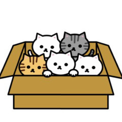 行くあてのない猫