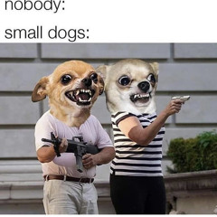 MarinaB_baz